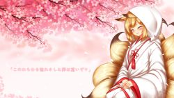 Rule 34 | 1girl, ^ ^, animal ears, blonde hair, blush, bride, cherry blossoms, closed eyes, closed eyes, facing viewer, folding fan, fox ears, fox tail, hand fan, heart, heart tail, highres, hood, japanese clothes, jewelry, kayou (sennen sensou aigis), kimono, long image, minaha (playjoe2005), multiple tails, ornate ring, own hands together, parted lips, ring, sennen sensou aigis, short hair, smile, solo, tail, translation request, uchikake, wallpaper, wedding ring, wide image