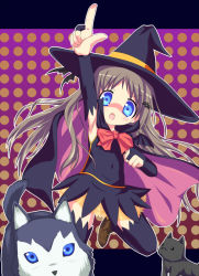 Rule 34 | 1girl, bad id, bad pixiv id, blue eyes, brown hair, cape, dog, fuyuno (ramentaro23), halloween, hat, little busters!, long hair, noumi kudryavka, pointing, solo, strelka, thighhighs, witch hat