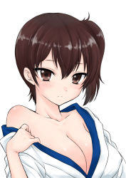 Rule 34 | 1girl, blush, breasts, brown eyes, brown hair, cleavage, collarbone, japanese clothes, kaga (kancolle), kantai collection, kimono, large breasts, long hair, long sleeves, looking at viewer, off shoulder, ozaki mirai, ponytail, side ponytail, sleeves rolled up, standing, undressing, upper body, white background, white kimono