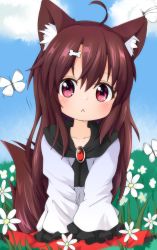 Rule 34 | 1girl, :&lt;, aged down, ahoge, animal ear fluff, animal ears, blue sky, bone hair ornament, brooch, brown hair, bug, butterfly, chinoru, cloud, day, flower, frilled sleeves, frills, grass, hair between eyes, hair ornament, highres, imaizumi kagerou, insect, jewelry, long hair, long sleeves, red eyes, red skirt, skirt, sky, solo, tail, touhou, wolf ears, wolf tail