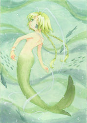 Rule 34 | 00s, 1girl, antennae, back, bad anatomy, bracelet, braid, breasts, completely nude, female focus, fish, green eyes, green hair, green theme, jewelry, long hair, looking back, magical girl, matching hair/eyes, mermaid, mew lettuce, midorikawa lettuce, monster girl, necklace, nude, pearl necklace, solo, tokyo mew mew, twin braids, underwater, water