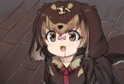 Rule 34 | 1girl, :3, animal ears, brown eyes, brown hair, brown shirt, collared shirt, commentary request, dachshund (kemono friends) (nyifu), dog ears, dog girl, dog tail, dog treat, drooling, fang, fictional persona, kemono friends, light brown hair, multicolored hair, necktie, nyifu, open mouth, original, red necktie, shirt, short hair, short sleeves, solo, tail, two-tone hair