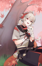 Rule 34 | 1boy, absurdres, animal, black gloves, black shorts, cat, commentary, day, falling leaves, finger wrap, fingerless gloves, genshin impact, gloves, grass, grey hair, highres, holding, holding animal, holding cat, kaedehara kazuha, leaf, looking at viewer, male focus, maple leaf, medium hair, multicolored hair, open mouth, outdoors, ponytail, red eyes, red hair, rippajun, shorts, sitting, smile, solo, streaked hair, teeth, tree, twitter username, upper teeth only, wrist wrap