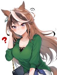 Rule 34 | 1girl, absurdres, animal ears, bag, breasts, brown hair, cleavage, commentary request, green shirt, handbag, highres, horse ears, horse girl, horse tail, long hair, multicolored hair, narusawa (njzc2582), purple eyes, shirt, simple background, smile, solo, symboli rudolf (umamusume), tail, umamusume, white background, white hair