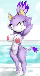 Rule 34 | 1girl, absurdres, animal ears, blaze the cat, breasts, cat ears, cat tail, curvy, eyelashes, furry, greyimpaction, high ponytail, highres, huge areolae, huge breasts, large areolae, looking at viewer, navel, nipples, nude, outdoors, pool, pubic hair, purple hair, pussy, serious, sonic (series), tail, thick thighs, thighs, tiptoes, toned, uncensored, water, wide hips, yellow eyes