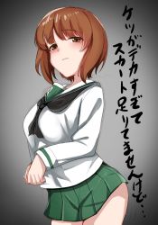 Rule 34 | 0:00, 1girl, blush, breasts, brown eyes, brown hair, girls und panzer, green skirt, grey background, highres, large breasts, looking at viewer, miniskirt, nishizumi miho, ooarai school uniform, parted lips, pleated skirt, school uniform, short hair, simple background, skirt, solo, standing