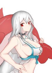 Rule 34 | 1girl, arknights, bare arms, bare shoulders, breasts, chinese commentary, cleavage, commentary, dated commentary, from side, hair ornament, hand on own hip, highres, holding, holding toy, inflatable orca, inflatable toy, inniyik, long hair, looking at viewer, looking to the side, medium breasts, no headwear, off-shoulder shirt, off shoulder, official alternate costume, outdoors, over shoulder, red eyes, shirt, sideboob, silver hair, simple background, skadi (arknights), skadi (waverider) (arknights), solo, stomach, swimsuit, toy, upper body, white background, white shirt