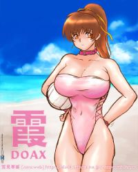 Rule 34 | 1girl, artist request, ball, beach, blush, breasts, brown eyes, brown hair, choker, cleavage, cloud, collarbone, cowboy shot, dead or alive, female focus, hair ribbon, hands on own hips, holding, holding ball, kasumi (doa), large breasts, long hair, looking at viewer, ocean, one-piece swimsuit, pink one-piece swimsuit, ponytail, ribbon, sand, sky, standing, swimsuit, tecmo, translated, volleyball (object), water