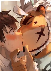 Rule 34 | 2boys, absurdres, ahoge, animal ears, bara, beard, blue eyes, blush, couple, eye contact, facial hair, french kiss, from side, furry, furry male, furry with non-furry, grabbing another&#039;s chin, hand on another&#039;s chin, highres, hombre tigre (housamo), interspecies, kiss, looking at another, male focus, multiple boys, portrait, protagonist 4 (housamo), saikorodekimeru, short hair, sweatdrop, thick eyebrows, tiger boy, tiger ears, tokyo houkago summoners, upper body, white hair, yaoi