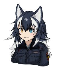 Rule 34 | 10s, 1girl, alternate costume, animal ears, black hair, blue eyes, blush, breasts, fang, fang out, fur collar, grey wolf (kemono friends), heterochromia, jacket, kemono friends, long hair, long sleeves, looking at viewer, multicolored hair, police, police uniform, policewoman, russian text, simple background, solo, transparent background, two-tone hair, uniform, white background, wolf ears, yellow eyes
