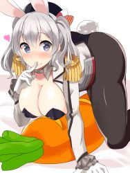 Rule 34 | 10s, 1girl, adapted costume, all fours, animal ears, bad id, bad pixiv id, blue eyes, blush, breasts, carrot, cleavage, detached collar, epaulettes, fake animal ears, female focus, hanging breasts, hat, heart, heart-shaped pupils, highres, kantai collection, kashima (kancolle), large breasts, long hair, looking at viewer, pantyhose, playboy bunny, rabbit ears, rabbit tail, silver hair, smile, solo, symbol-shaped pupils, tail, twintails, uni mmtab