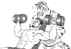 Rule 34 | 2boys, abs, animal ears, bara, beard, biceps, blush, cheek bulge, couple, dumbbell, exercising, facial hair, feet out of frame, furry, furry male, furry with non-furry, greyscale, grin, gym, gym shorts, interspecies, large pectorals, long sideburns, looking at another, male focus, mature male, monochrome, multiple boys, muscular, muscular male, nick300, nipples, original, pectorals, short hair, shorts, sideburns, smile, stomach, stubble, tail, tank top, tiger boy, tiger ears, tiger tail, topless male, training, trembling, veins, weightlifting, yaoi