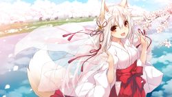 Rule 34 | 1girl, :d, animal ear fluff, animal ears, bell, blue sky, blush, branch, breasts, commentary request, day, fang, flower, fox ears, fox girl, fox tail, hair bell, hair between eyes, hair ornament, hair ribbon, hakama, hakama skirt, highres, holding, japanese clothes, jingle bell, kimono, looking at viewer, miko, open mouth, original, outdoors, petals, red eyes, red hakama, red ribbon, reflection, ribbon, river, saeki touma, see-through, skirt, sky, small breasts, smile, solo, tail, tree, water, white flower, white hair, white kimono