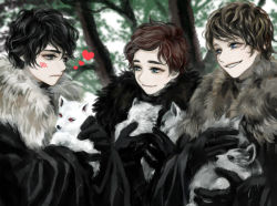Rule 34 | 3boys, a song of ice and fire, animification, bad id, bad pixiv id, black eyes, black gloves, black hair, blue eyes, blush, brown hair, cape, dog, fur trim, ghost (a song of ice and fire), gloves, grey wind, heart, jon snow, lady (a song of ice and fire), male focus, multiple boys, nymeria (a song of ice and fire), puppy, red hair, robb stark, shaggydog (a song of ice and fire), siuuu, theon greyjoy, wolf