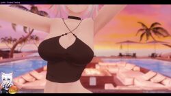 Rule 34 | 1girl, 3d, animal ears, animated, ass, ass shake, audible music, bare shoulders, blue eyes, breasts, cleavage, crazymango, dancing, grey hair, large breasts, medium breasts, midriff, navel, solo, sound, tagme, twitter, twitter username, video, vr avatar, vrchat