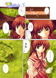 Rule 34 | 00s, 1girl, blush, brown eyes, comic, field, grass, kousaka tamaki, long hair, long sleeves, looking at viewer, outdoors, red hair, red skirt, sailor collar, skirt, smile, to heart (series), to heart 2, translated, tree, twintails, under tree, very long hair