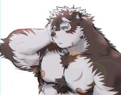 Rule 34 | 1boy, animal ears, bara, body hair, chest hair, completely nude, facial scar, furry, furry male, grey fur, grey hair, hand on own head, headband, horkeu kamui, large pectorals, male focus, muscular, nipples, no headwear, nude, one eye closed, pectorals, rossciaco, scar, scar on cheek, scar on face, short hair, simple background, sketch, solo, tail, tokyo houkago summoners, two-tone fur, white background, white fur, wolf boy, wolf ears, wolf tail, yellow eyes