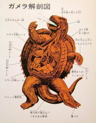 Rule 34 | anatomy, biology, chart, cross-section, daiei film, diagram, elemental (creature), energy, fire, fire elemental, gamera, gamera, the giant monster, gamera (series), giant, giant monster, heart, intestines, japanese text, kadokawa, kaijuu, lungs, monochrome, monster, multiple stomachs, no humans, official art, ohtomo shoji, organs, plasma, science, science fiction, shell, stomach, tail, translation request, turtle, turtle shell, tusks, x-ray