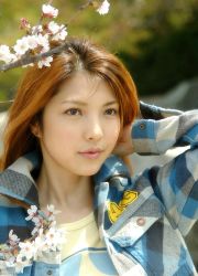 Rule 34 | 1girl, asian, cherry blossoms, flannel, flannel shirt, long hair, outdoors, photo (medium), solo, souma akane, tagme