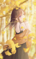 Rule 34 | 1girl, autumn, autumn leaves, black dress, blurry, blush, brown hair, commentary, cowboy shot, day, depth of field, dress, falling leaves, from behind, ginkgo leaf, hair ornament, hairclip, holding, holding leaf, leaf, long hair, long sleeves, looking at viewer, looking back, original, outdoors, pinafore dress, plaid, purple eyes, renren (pixiv22963369), shawl, sleeveless dress, sleeves past wrists, solo, sweater, white sweater