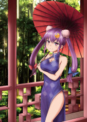 Rule 34 | 1girl, absurdres, alternate costume, alternate hairstyle, bare shoulders, breasts, bun cover, china dress, chinese clothes, cleavage, crescent, crescent hair ornament, dress, hair ornament, hair ribbon, highres, large breasts, oil-paper umbrella, orinpachu, patchouli knowledge, purple eyes, purple hair, ribbon, smile, solo, touhou, tree, twintails, umbrella