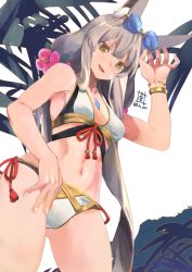 Rule 34 | 1girl, adapted costume, animal ears, armpits, bikini, bracelet, breasts, chest jewel, cowboy shot, eyewear on head, flower, from below, highres, jewelry, long hair, low twintails, medium breasts, nia (blade) (xenoblade), nia (xenoblade), nintendo, niyah, aged up, pink flower, plant, signature, simple background, solo, sou (pale 1080), spoilers, swimsuit, twintails, very long hair, white background, white bikini, xenoblade chronicles (series), xenoblade chronicles 2, xenoblade chronicles (series), xenoblade chronicles 2