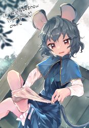 Rule 34 | 1girl, animal ears, black skirt, black vest, bloomers, commission, efxc, foot focus, grey hair, jewelry, long sleeves, mouse ears, mouse girl, mouse tail, nazrin, pendant, red eyes, removing sock, shirt, short hair, skeb commission, skirt, sock pull, socks, solo, tail, touhou, underwear, vest, wet, wet clothes, white shirt