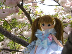 Rule 34 | doll, moe (phrase), moko-chan, photo (medium), tagme, twintails