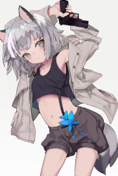 Rule 34 | 1girl, animal ears, arms up, bare shoulders, black shorts, black tank top, blue flower, closed mouth, collarbone, commentary request, crop top, flower, grey background, grey eyes, grey hair, grey jacket, gun, handgun, highres, holding, holding gun, holding weapon, jacket, long sleeves, looking at viewer, midriff, navel, open clothes, open jacket, original, pistol, puffy shorts, shiromiso, short hair, short shorts, shorts, sig p320, simple background, solo, tail, tank top, weapon, wide sleeves