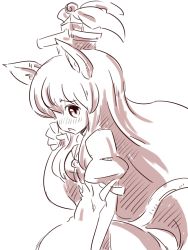 Rule 34 | 1girl, animal ears, blush, cat ears, cat girl, cat tail, female focus, kamishirasawa keine, kemonomimi mode, long hair, monochrome, simple background, solo, sonson (eleven), tail, touhou, very long hair, white background