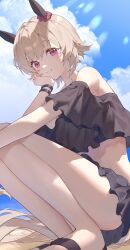 Rule 34 | 1girl, absurdres, animal ears, bikini, black bikini, blonde hair, blue sky, bracelet, cloud, commentary request, curren chan (umamusume), day, ear covers, frilled bikini, frills, hand on own cheek, hand on own face, highres, horse ears, horse girl, horse tail, iwashi 111, jewelry, legs, looking at viewer, outdoors, pink eyes, sand, short hair, sky, smile, solo, squatting, swimsuit, tail, thighs, umamusume