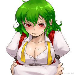 Rule 34 | 1girl, blush, breasts, cleavage, embarrassed, female focus, green hair, kazami yuuka, oso (toolate), red eyes, simple background, solo, sweat, touhou, unbuttoned