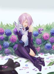 Rule 34 | 1girl, :d, armor, blue flower, blush, boots, closed eyes, commentary, creature, elbow gloves, fate/grand order, fate (series), flower, fou, gloves, high heel boots, high heels, hug, hydrangea, legs together, mash kyrielight, mochii, open mouth, pink hair, purple flower, purple gloves, purple thighhighs, shield, short hair, sitting, smile, thighhighs