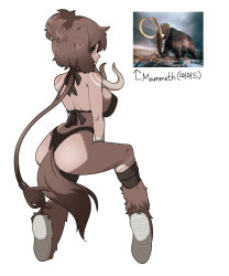 Rule 34 | 1girl, absurdres, animal, ass, bare shoulders, bikini, black bikini, black socks, breasts, brown hair, commentary request, elephant tail, from behind, gomulgong, highres, kneehighs, large breasts, long hair, low ponytail, mammoth, original, personification, ponytail, shoe soles, simple background, sitting, socks, solo, swimsuit, tusks, very long hair, white background, white footwear