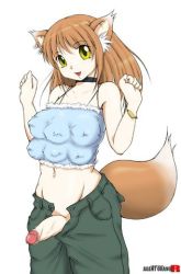Rule 34 | 1futa, agent orange, animal ears, breasts, brown hair, censored, extra breasts, fox ears, futanari, lowres, mosaic censoring, navel, nipples, open mouth, penis, simple background, small breasts, solo, tail, white background, yellow eyes