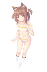 Rule 34 | 1girl, :&lt;, animal ear fluff, animal ears, azuki (nekopara), bare arms, bare shoulders, bow, bra, brown eyes, brown hair, cat ears, closed mouth, commentary request, full body, hair bow, highres, looking at viewer, navel, nekopara, no shoes, panties, resolution mismatch, sakuraba hikaru (loveindog), simple background, socks, solo, source larger, strap slip, two side up, underwear, underwear only, white background, white bow, white bra, white panties, white socks