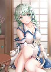 Rule 34 | 1girl, against door, akino irori, animal, animal collar, blue skirt, breasts, cat, cleavage, collar, collarbone, commentary request, detached sleeves, feet out of frame, frog hair ornament, green hair, hair ornament, hair tubes, head tilt, highres, holding, holding animal, holding cat, indoors, knee up, kochiya sanae, large breasts, light blush, long hair, looking at viewer, parted lips, partial commentary, plant, potted plant, shouji, sitting, skirt, sliding doors, snake hair ornament, solo, table, tatami, teeth, touhou, upper teeth only, very long hair, wariza