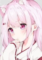 Rule 34 | 1girl, absurdres, animal ear fluff, animal ears, blush, cat ears, closed mouth, commentary request, grey background, hair between eyes, hair ornament, hairclip, hand up, highres, hijouguti, japanese clothes, kimono, long hair, long sleeves, looking at viewer, miko, nijisanji, pink hair, purple eyes, ribbon-trimmed sleeves, ribbon trim, shiina yuika, shiina yuika (3rd costume), simple background, sleeves past wrists, solo, star (symbol), starry background, upper body, virtual youtuber, white kimono, wide sleeves