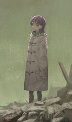 Rule 34 | 1girl, coat, duffel coat, expressionless, flcl, green background, looking at viewer, ninamori eri, outdoors, oversized clothes, purple eyes, purple hair, scarf, solo, standing, subfiction