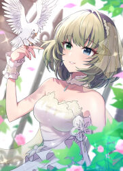 Rule 34 | 1girl, absurdres, bare shoulders, bird, blue eyes, blurry, blush, breasts, cleavage, collar, depth of field, detached collar, dot nose, dove, dress, falling leaves, falling petals, fence, flower, green eyes, green hair, hair ornament, hand up, heterochromia, highres, idolmaster, idolmaster cinderella girls, idolmaster cinderella girls starlight stage, leaf, looking at another, medium breasts, mole, mole under eye, nail polish, parted lips, petals, pink flower, pink nails, pink rose, rose, scrunchie, see-through, shiro (branch0126), short hair, smile, solo, sparkle, strapless, strapless dress, takagaki kaede, upper body, white collar, white dress, white scrunchie, wrist scrunchie