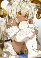 Rule 34 | 1girl, absurdres, aged down, aliasing, animal ears, arknights, bare shoulders, beeswax (arknights), beeswax (weisser sand) (arknights), blurry, cat ears, closed mouth, commentary request, curled horns, dark-skinned female, dark skin, depth of field, gold horns, hair between eyes, highres, horns, hugging own legs, kemonomimi mode, long hair, long sleeves, looking at viewer, off shoulder, official alternate costume, shao (shaorouhong), shorts, sitting, solo, sweater, very long hair, white hair, white legwear, yellow eyes