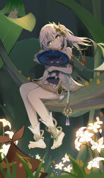 Rule 34 | 1girl, absurdres, animal, animal hug, animalization, black cat, bloomers, cat, commentary request, detached sleeves, dress, feet, field, flower, flower field, forest, genshin impact, gradient hair, green eyes, hair between eyes, hair ornament, head tilt, highres, leaf hair ornament, long hair, looking at viewer, multicolored hair, nahida (genshin impact), nature, outdoors, pointy ears, qixia, scaramouche (genshin impact), short dress, short sleeves, side ponytail, sidelocks, sitting, sitting on branch, smile, soles, stirrup legwear, streaked hair, symbol-shaped pupils, toeless legwear, toes, two-tone hair, underwear, wanderer (genshin impact), white bloomers, white dress, white hair