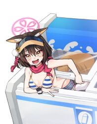 Rule 34 | 1girl, 28 (282teeth), animal ears, bikini, bikini top only, black hair, blue archive, breasts, brown eyes, cleavage, commentary request, cooler, denim, denim shorts, fox ears, fox girl, fox tail, freezer, highres, in container, izuna (blue archive), izuna (swimsuit) (blue archive), korean commentary, looking at viewer, medium breasts, mini person, minigirl, open mouth, red scarf, scarf, short hair, short shorts, shorts, solo, striped bikini, striped clothes, swimsuit, tail, upper body, visor cap