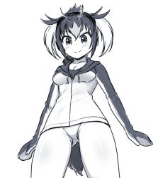 Rule 34 | 10s, 1girl, blue theme, blush, breasts, cleavage, closed mouth, commentary request, cowboy shot, from below, hood, hood down, hoodie, kemono friends, looking at viewer, medium breasts, monochrome, panties, rockhopper penguin (kemono friends), short hair, simple background, smile, solo, standing, totokichi, underwear, white background