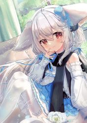 Rule 34 | 1girl, absurdres, ahoge, animal ears, bare shoulders, blue bow, blue dress, blue flower, blush, bow, carnation, detached sleeves, dress, feet out of frame, flower, fox ears, frills, grey hair, hair between eyes, hand up, highres, indoors, knees up, light smile, long hair, long sleeves, looking at viewer, original, puffy long sleeves, puffy sleeves, red eyes, sakurada shiro (hy plus), sample watermark, socks, solo, thighhighs, tito (osakanakana0 0), very long hair, watermark, white flower, white socks, window, ||/