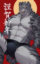 Rule 34 | 1boy, abs, animal ears, bara, black male underwear, boxers, bulge, chest hair, chinese zodiac, feet out of frame, furry, furry male, grey fur, hachi duchi, happy new year, highres, large pectorals, male focus, male underwear, mature male, muscular, muscular male, navel, navel hair, new year, nipples, original, pectorals, short hair, solo, stomach, tail, tail grab, thick thighs, thighs, tiger boy, tiger ears, tiger tail, topless male, translation request, underwear, underwear only, year of the tiger