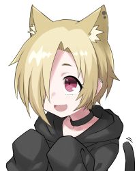 Rule 34 | 1girl, animal ears, blonde hair, blush, cat ears, cat girl, cat tail, collarbone, fang, hair over one eye, halulu, hands up, highres, hood, hoodie, idolmaster, idolmaster cinderella girls, idolmaster cinderella girls starlight stage, long sleeves, open mouth, shirasaka koume, short hair, simple background, sleeves past fingers, sleeves past wrists, smile, solo, tail