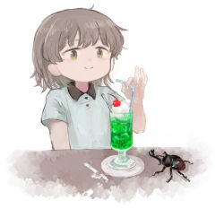 Rule 34 | 1girl, alternate costume, alternate eye color, asasow, brown hair, cherry, closed mouth, collared shirt, commentary request, drinking straw, food, fruit, green eyes, grey shirt, hand up, hatoba tsugu, holding, holding drinking straw, ice cream, ice cream float, looking at food, medium hair, melon soda, rhinoceros beetle, shirt, short sleeves, simple background, smile, solo, table, tsugu (vtuber), upper body, white background, wrapper