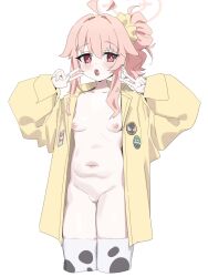 Rule 34 | 1girl, ahoge, blue archive, blush, breasts, cropped legs, double v, hair between eyes, hair bun, halo, highres, jacket, long sleeves, naked jacket, natsu (band) (blue archive), natsu (blue archive), navel, nemo (leafnight), nipples, open clothes, open jacket, open mouth, pink hair, pink halo, red eyes, simple background, single side bun, small breasts, solo, stomach, thighhighs, v, white background, white thighhighs, yellow jacket