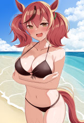 Rule 34 | 1girl, absurdres, animal ears, bare arms, bare shoulders, beach, bikini, black bikini, blue sky, blush, breasts, brown eyes, cleavage, cloud, collarbone, commentary request, cowboy shot, day, hair between eyes, highres, horse ears, large breasts, looking at viewer, medium hair, navel, newon, nice nature (umamusume), ocean, open mouth, red hair, sky, solo, standing, stomach, swimsuit, tail, thighs, twintails, umamusume, water